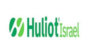 חולית