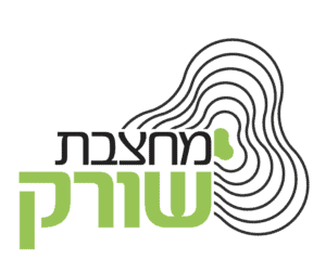 צילום מסך 2025-03-16 182759